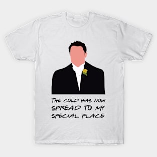 The cold has now spread to my special place T-Shirt